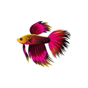 Garnet Starburst Betta